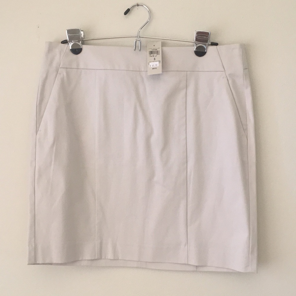 Ann Taylor Madison Skirt